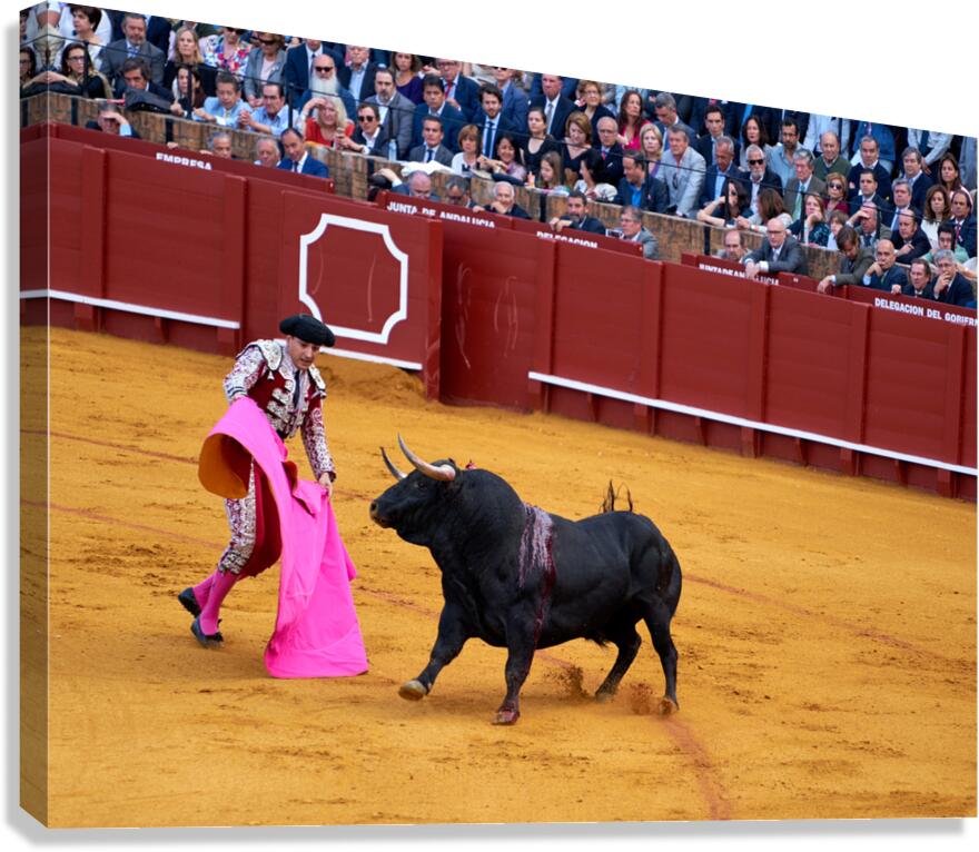 ANDALUSIA SPAIN. Bullfight in Seville Arena