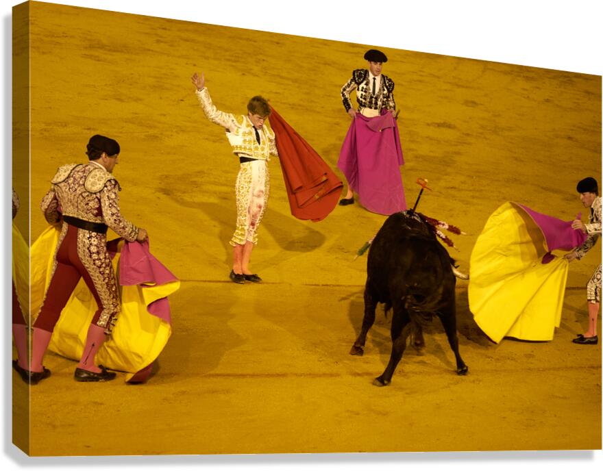 ANDALUSIA SPAIN. Bullfight in Seville Arena