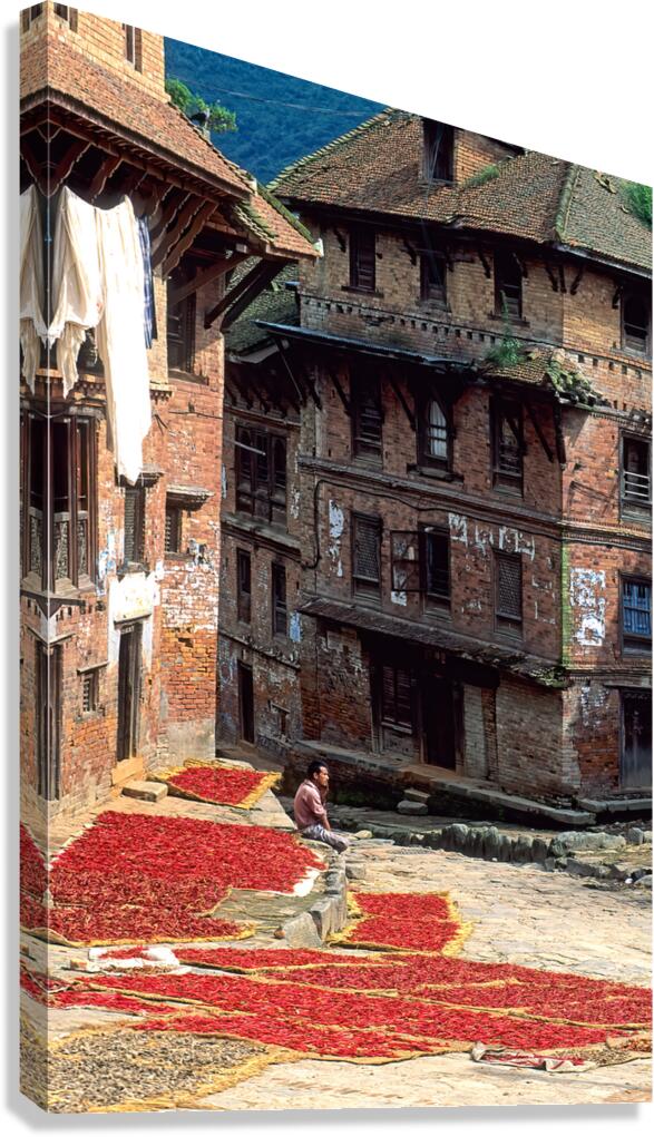 Nepal. Kathmandu. Dried red chili
