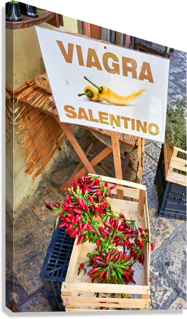 Salento. Apulia Puglia Italy. Gallipoli. Dried red chili natural Viagra