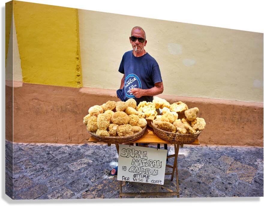 Salento. Apulia Puglia Italy. Gallipoli. Natural sea sponges