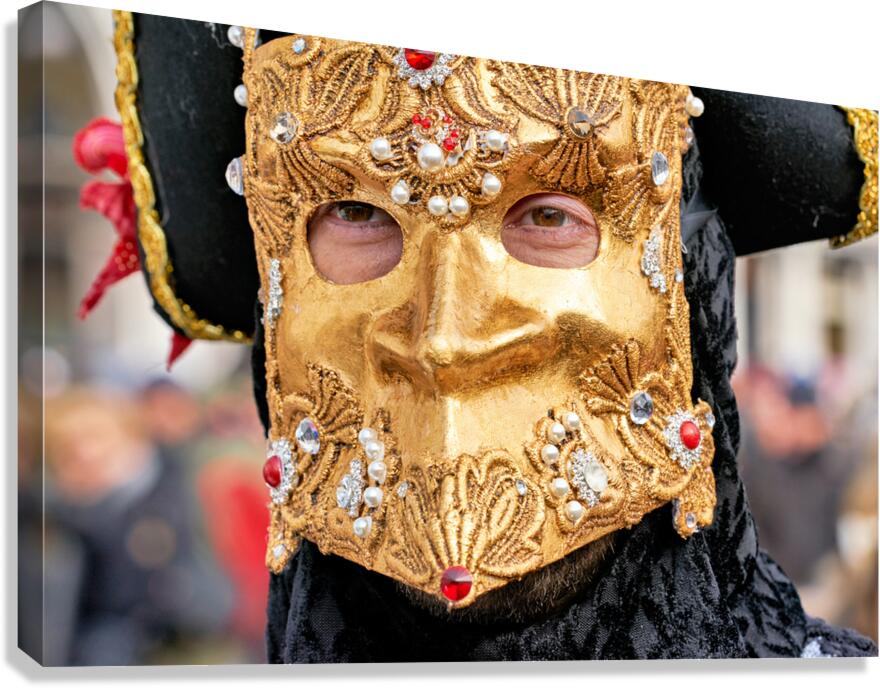 Venice Italy. The Carnival