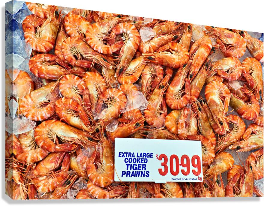 Extra large cooked tiger prawns on ice for sale.