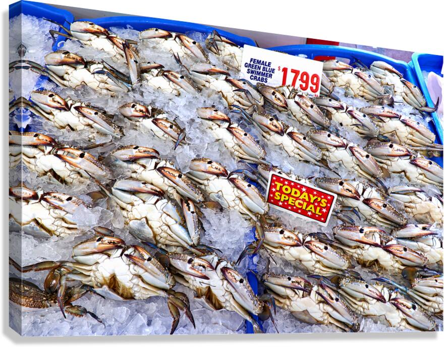 Fresh female blue swimmer crabs on ice for sale.