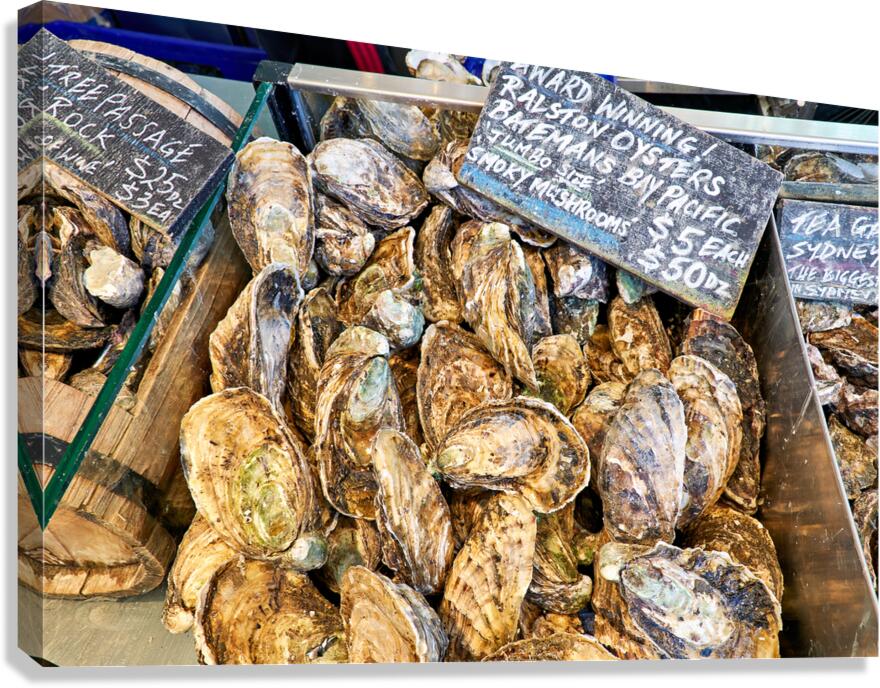 Fresh oysters for sale at a market stall.