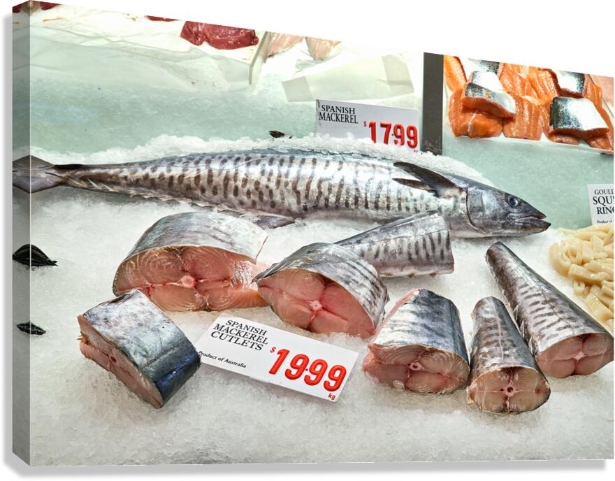 Fresh Spanish Mackerel and Salmon displayed on ice.