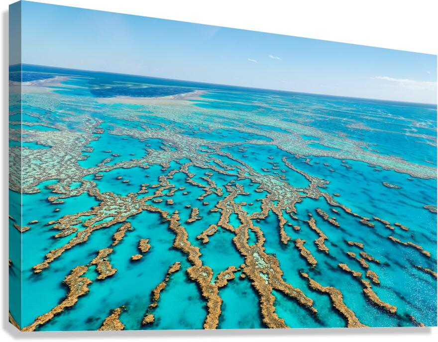 Vibrant coral formations of Great Barrier Reef in Australia