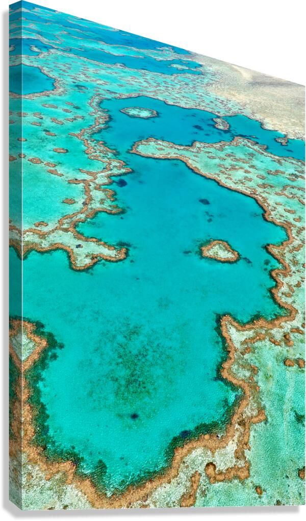 Aerial view of the Great Barrier Reef Australia.