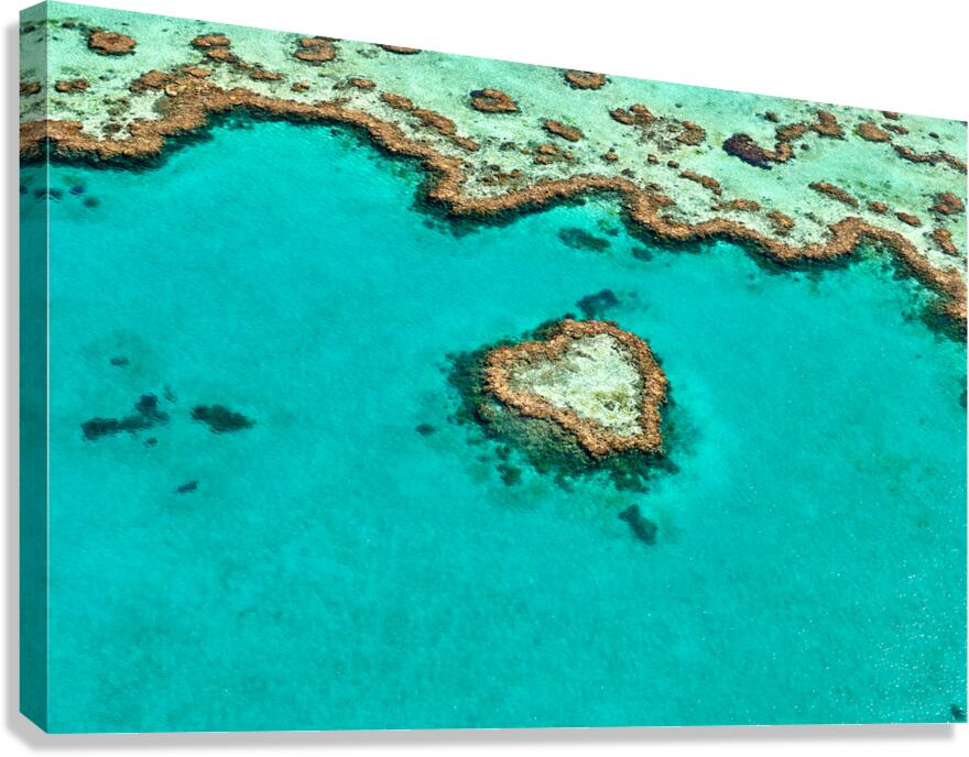 Heart Reef Great Barrier Reef Australia