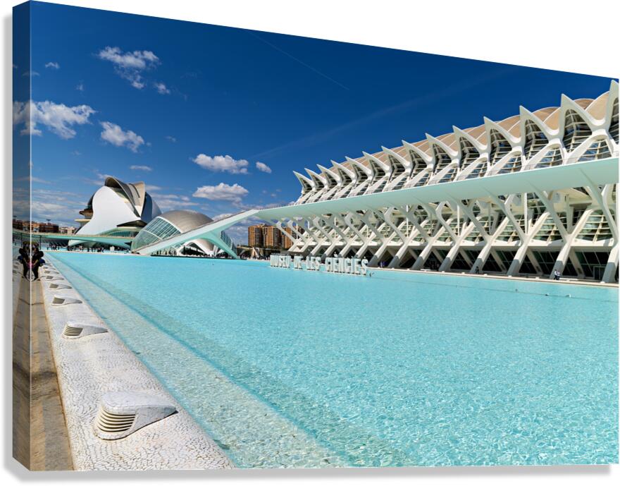 Visit to Museu de les Ciències Príncipe Felipe in Valencia Spa