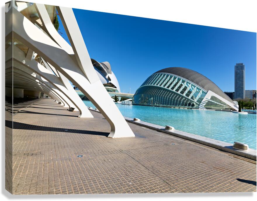Visit to the city of arts and sciences in valencia spain