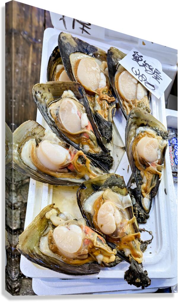 Fresh oysters displayed at the fish market in Tokyo Japan