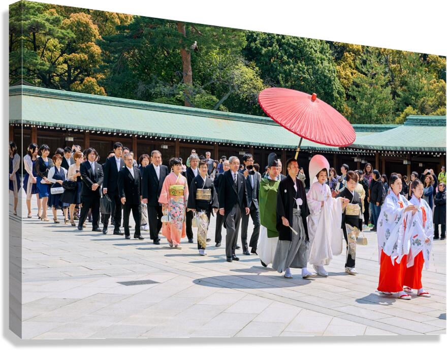 Traditional wedding ceremony at Meiji Jingu Shinto shrine in Tok