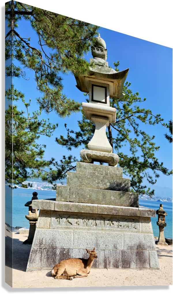 Deer resting near a stone lantern at Itsukushima shrine in Miyaj
