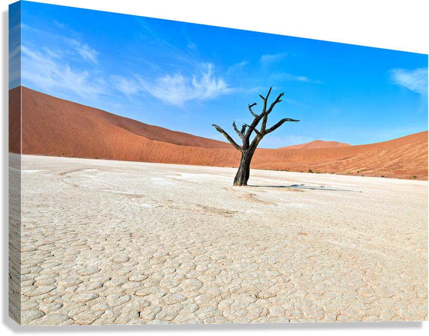 Deadvlei clay pan in Namibia shows a dried landscape and tree