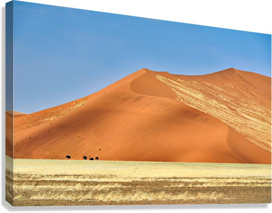 Sand dunes and desert landscape at Sossusvlei in Namibia