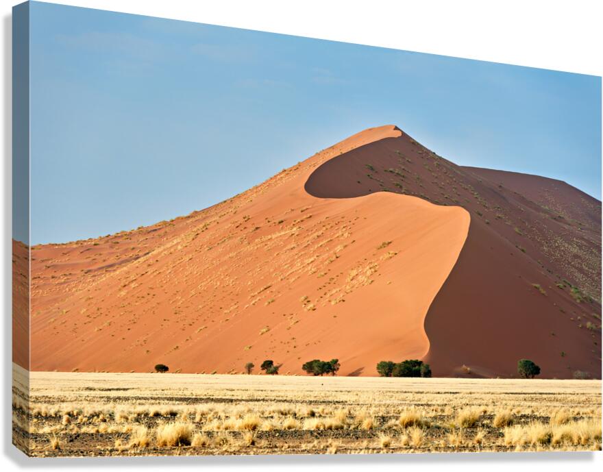 Sand dunes rise at Sossusvlei in Namib Naukluft National Park
