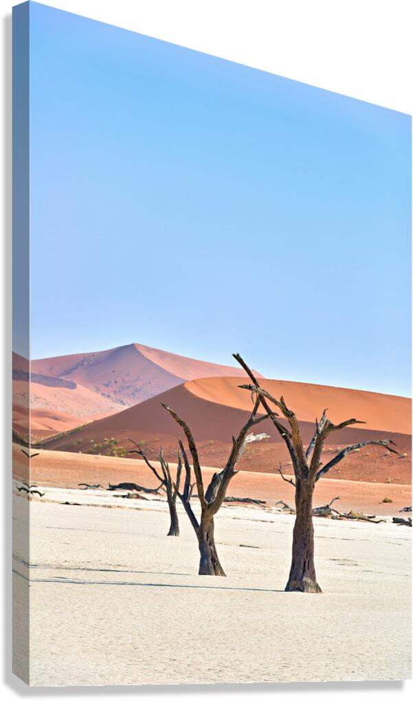 Dried trees in Deadvlei clay pan of Namib Naukluft National Park