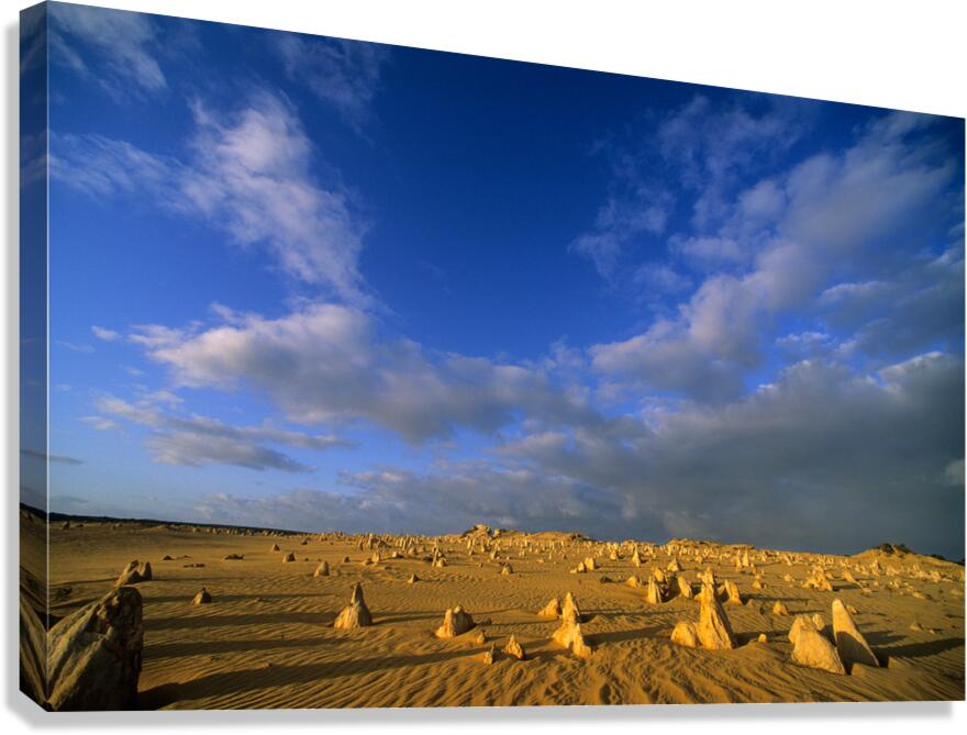 The Pinnacles Desert limestone formations under a dramatic sky.