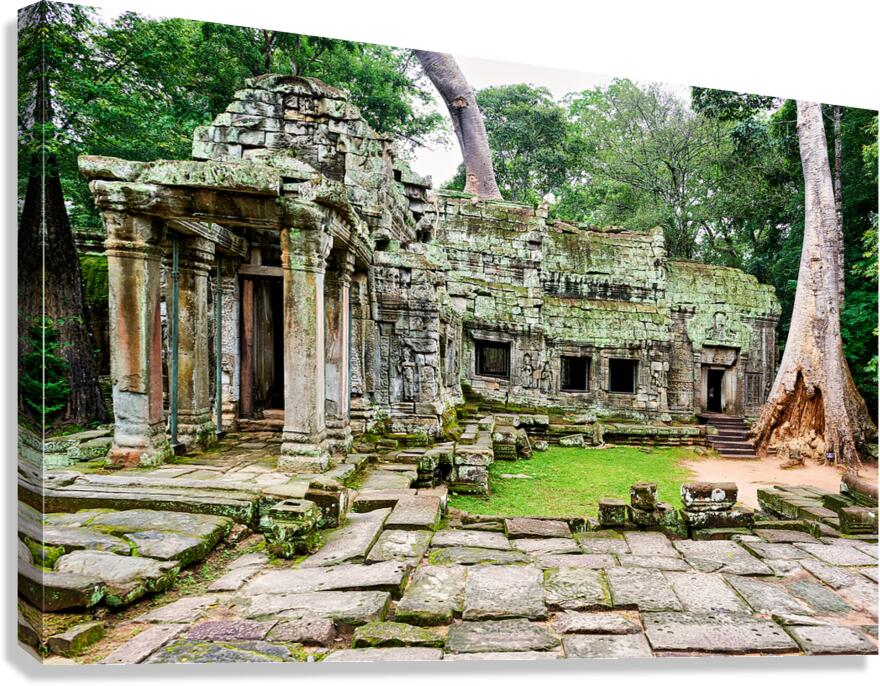 Moss covered ancient temple ruins with large trees.