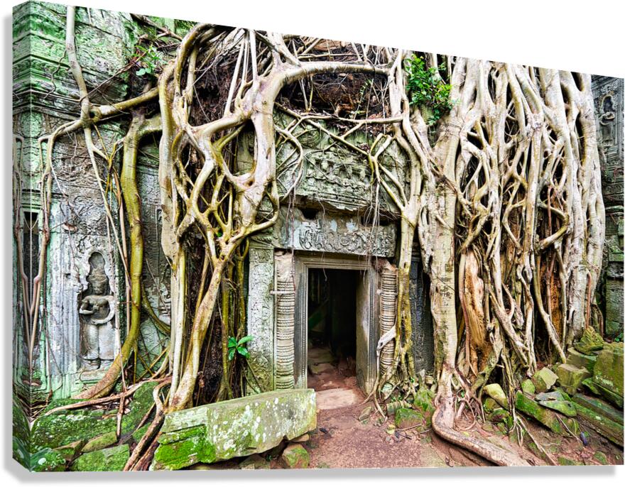 Ancient temple ruins overgrown by massive tree roots.