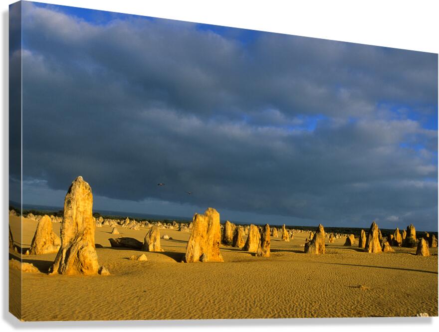 The Pinnacles desert landscape with dramatic clouds and birds.