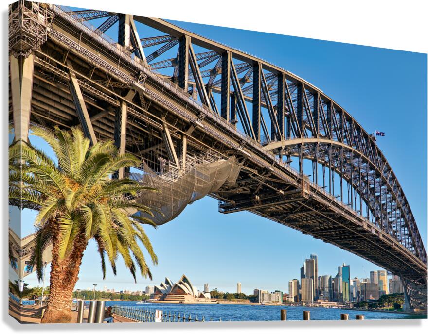 Sydney Harbour Bridge and Opera House with palm tree.