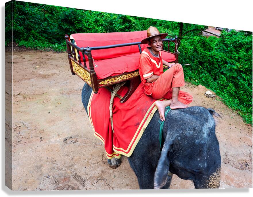 Smiling mahout on elephant with ornate saddle in jungle.