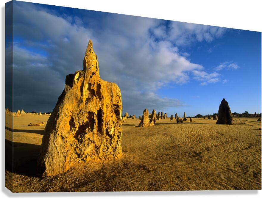 Golden limestone pinnacles in the Australian desert at sunset.