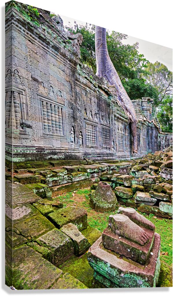 Nature reclaims ancient temple: tree roots moss fallen stones.