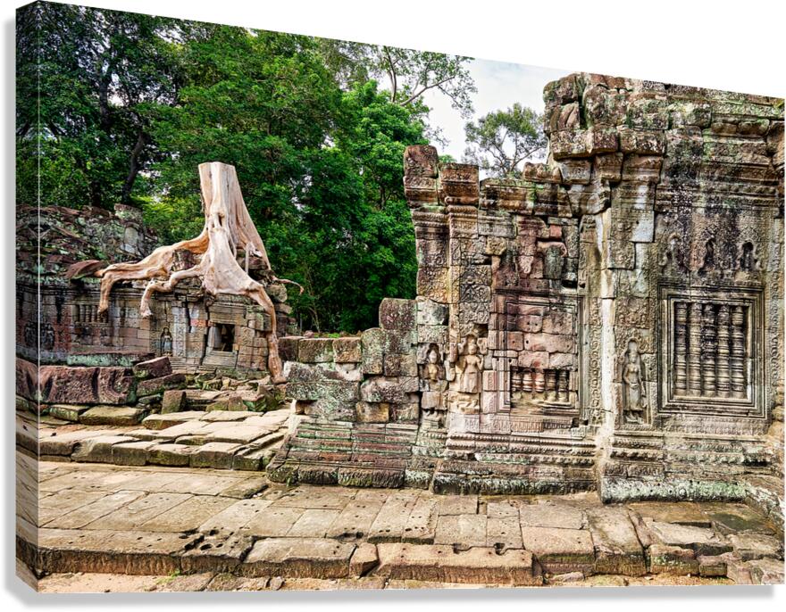 Ancient temple ruins consumed by giant tree roots.