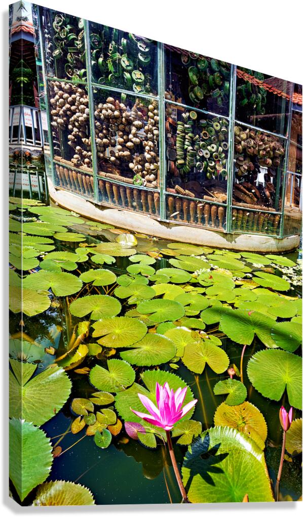 Peaceful lotus pond contrasts with deactivated landmine display.