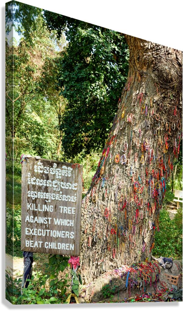 Cambodian Killing Tree a poignant genocide memorial.