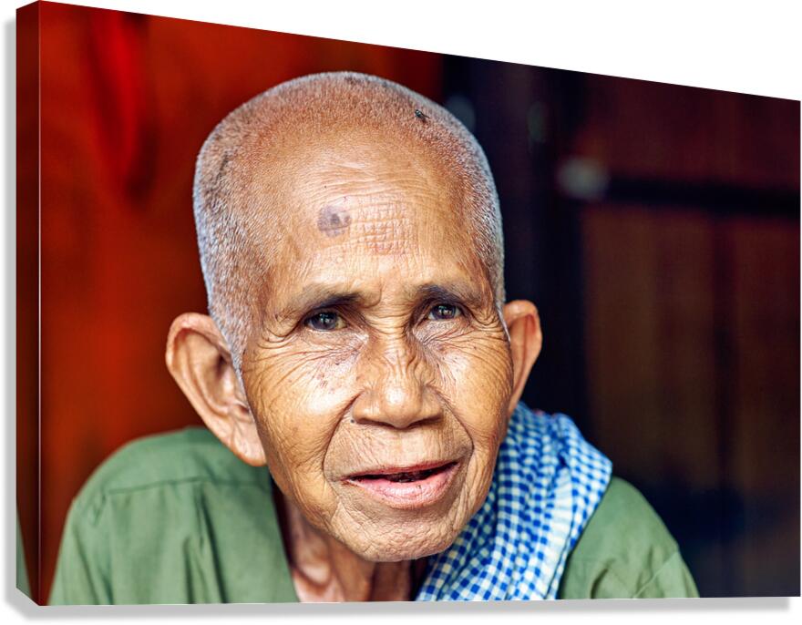 Close up portrait of an elderly person with a fly on head.