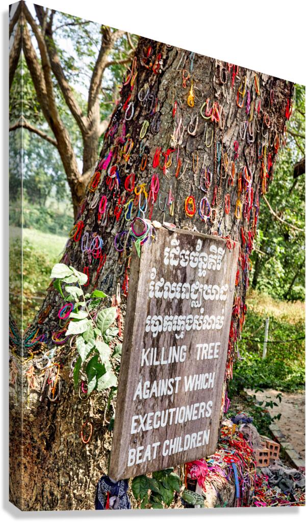 Killing Tree memorialized with bracelets remembering child vict