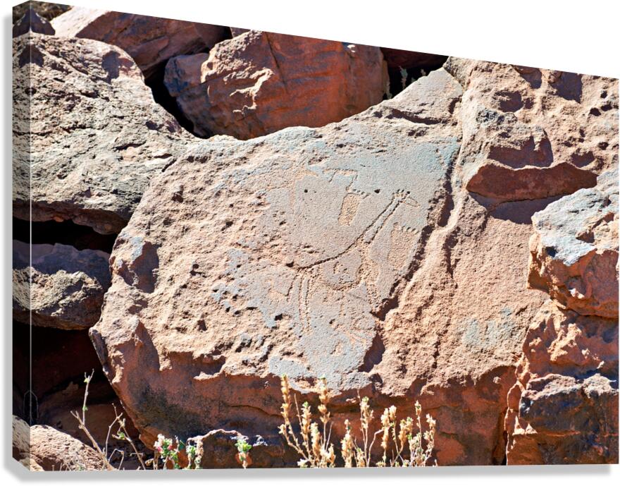 Prehistoric rock engravings in Twyfelfontein Namibia
