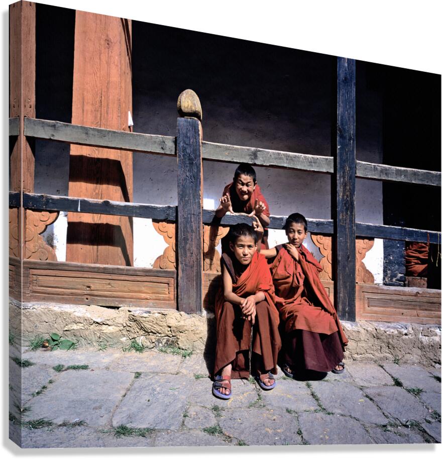 Three young monks playfully pose.
