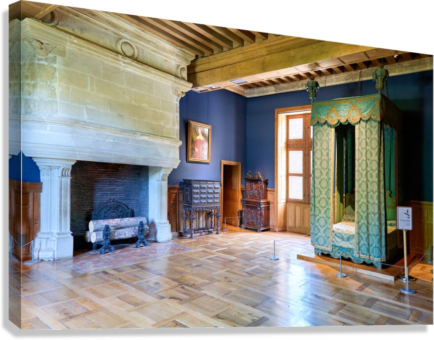 Chateau dAzay le Rideau interior view with furniture and firepl