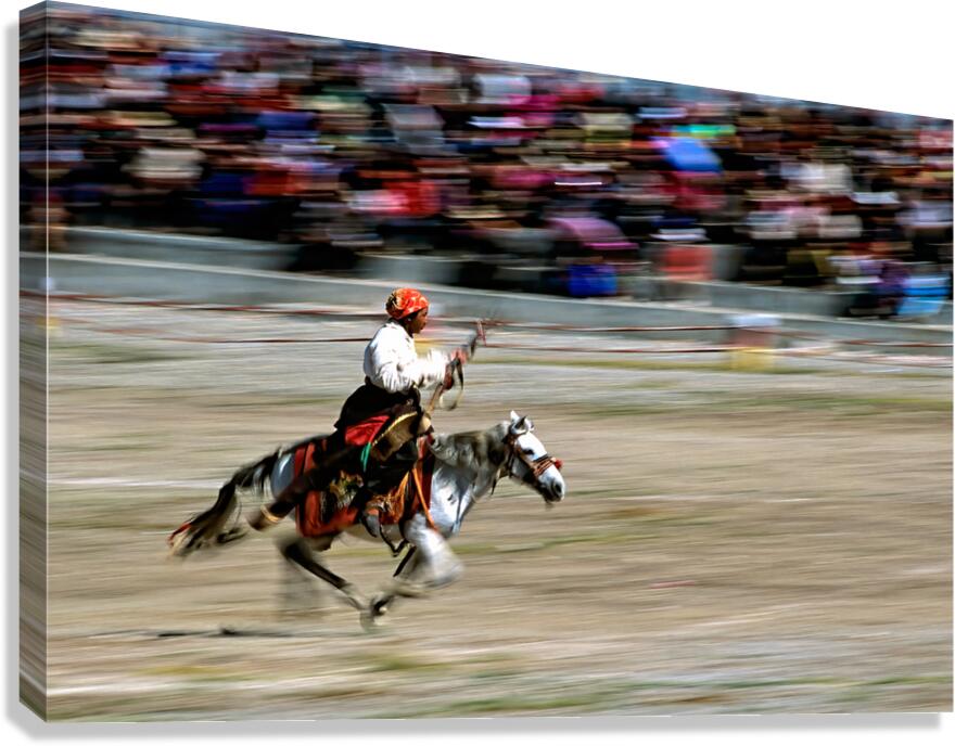 Equestrian rider on a horse races in front of a large crowd in T