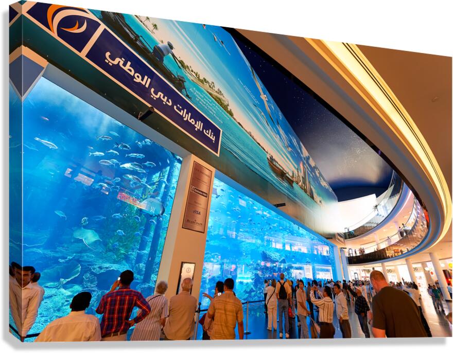 Visitors enjoy giant aquarium and screen in Dubai mall