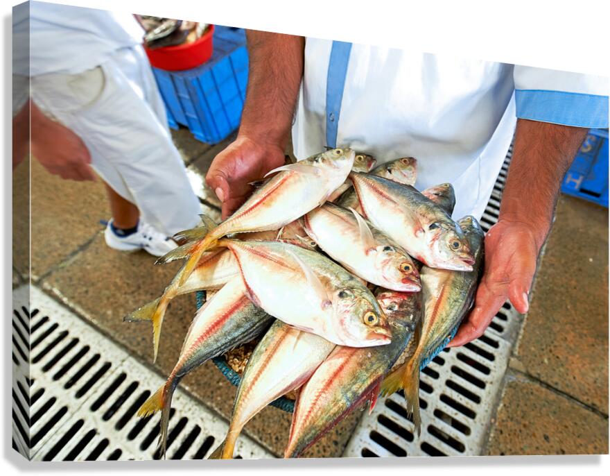 Freshly caught fish in Dubai held by a man at the market