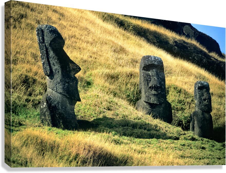 Three Moai statues on a grassy hillside.