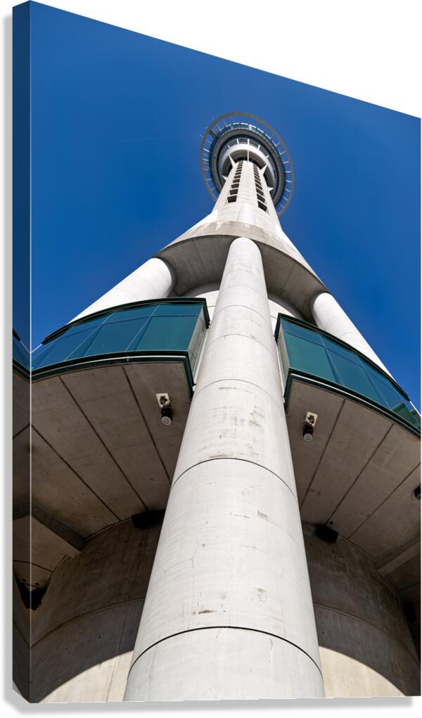 View of Sky Tower in Auckland under clear blue skies