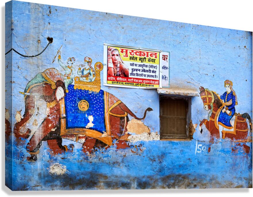 A painted house in Bundi displays vibrant art of elephants and r