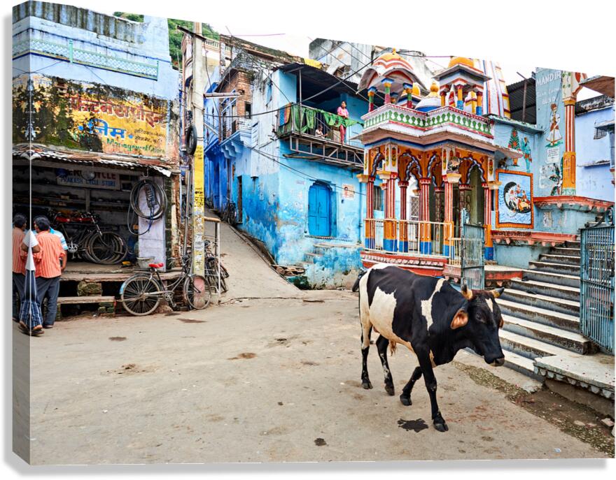 Decorated painted house in Bundi Rajasthan with a cow walking