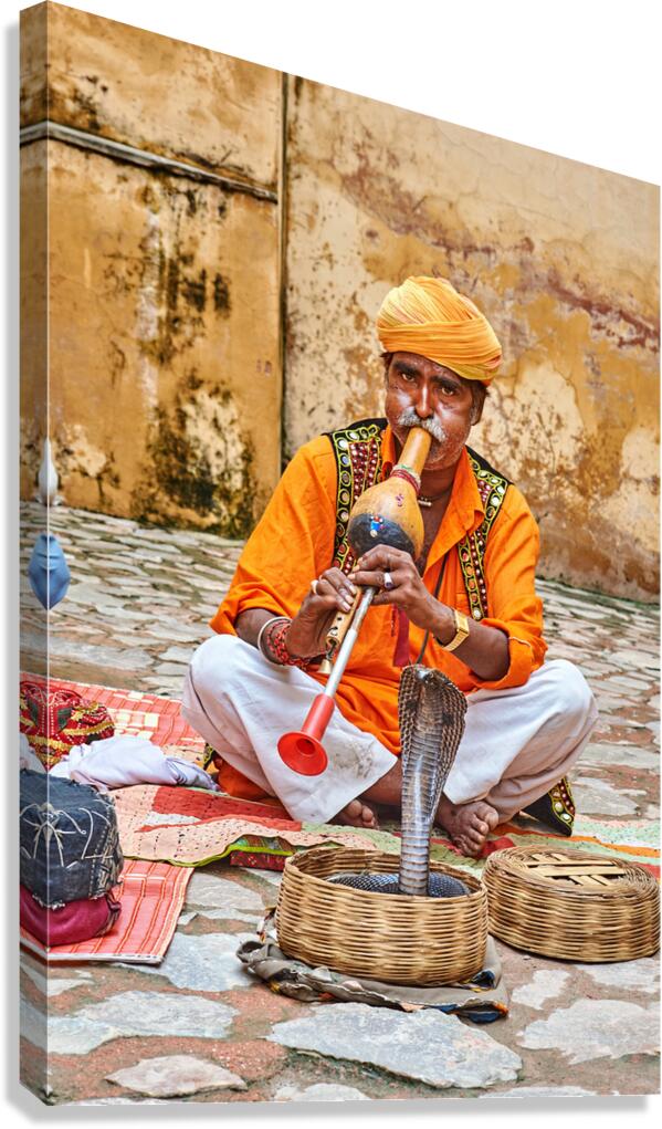 Snake charmer performs in Amber Rajasthan India