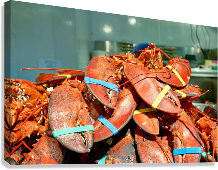 Lobsters at lobster place in chelsea market in manhattan new yo