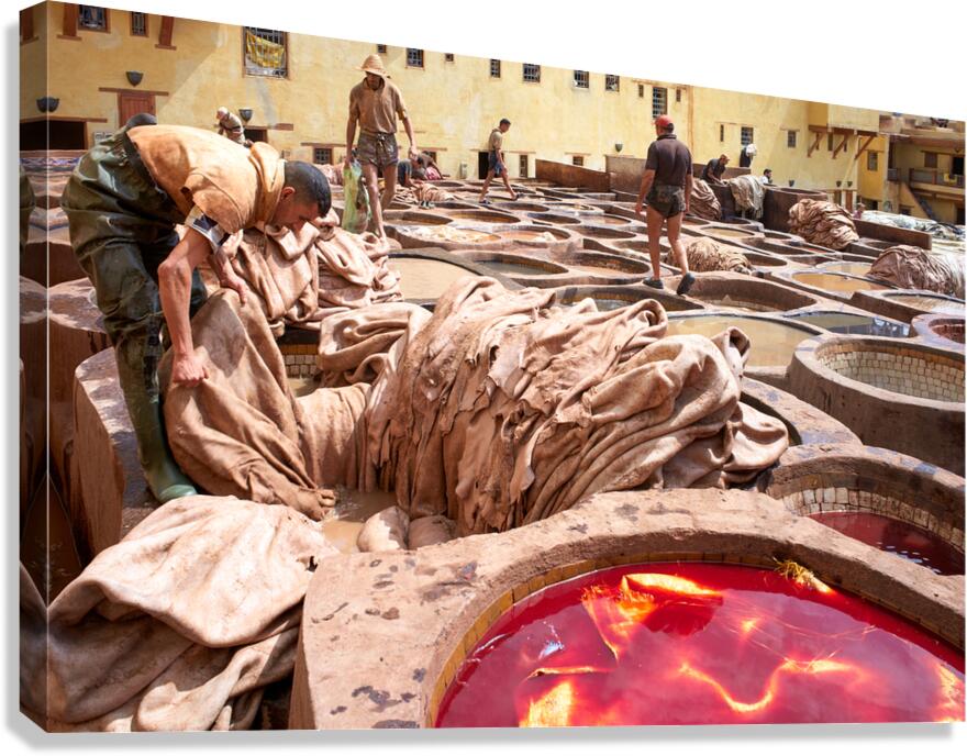 Workers dye leather at Chouara Tannery in Fez Morocco during the