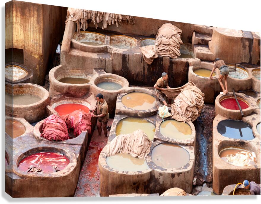 Workers dye leather at Chouara Tannery in Fez Morocco