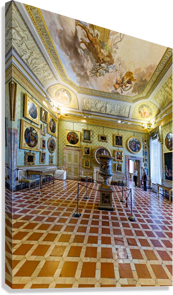 Visit Pitti Palace Museum and explore the Palatine Gallery in Fl